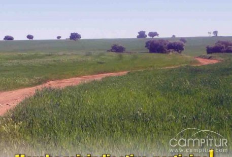 Marcha reivindicativa por una Vía Verde en el Guadiato 