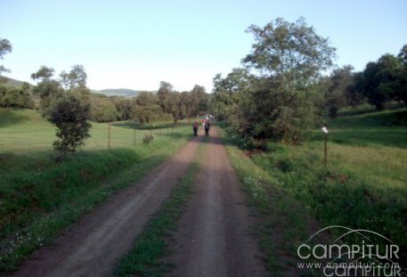 Numerosa participación en la Ruta del Rey Jayón 