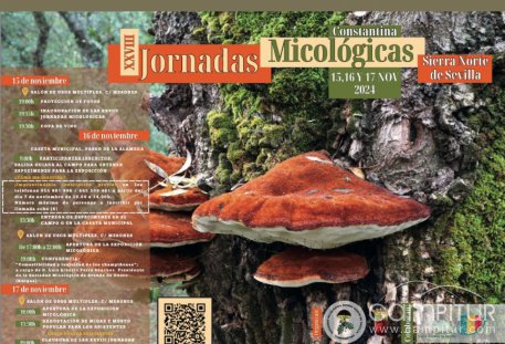 Constantina celebra las XXVIII Jornadas Micológicas: Un fin de semana para descubrir y disfrutar de los hongos