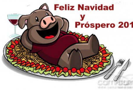 Os deseamos unas Felices Fiestas 
